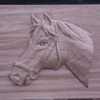 Horse Head