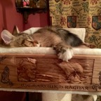 Viking Carving for Cat Bed